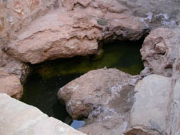 Sources de Lalla Mimouna pr�s de Tinerhir, Maroc.