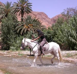 El valle del Todra a caballo