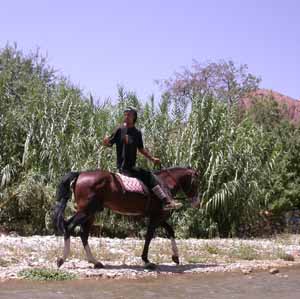 El valle del Todra a caballo