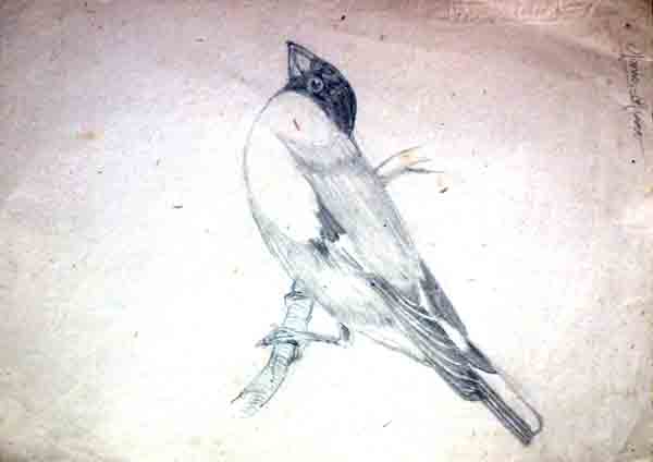 Dibuix de Maria Merc&egrave Mim&oacute; Espinalt