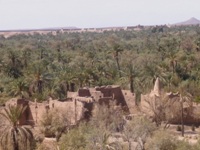 Sidi Aissa, Taskoukamt