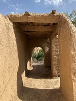 Sidi Mohamed El Hanine, Tiriguiout